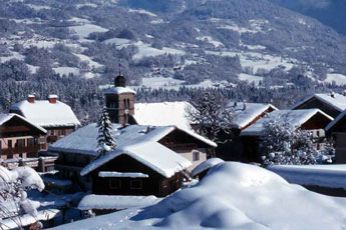 Morillon